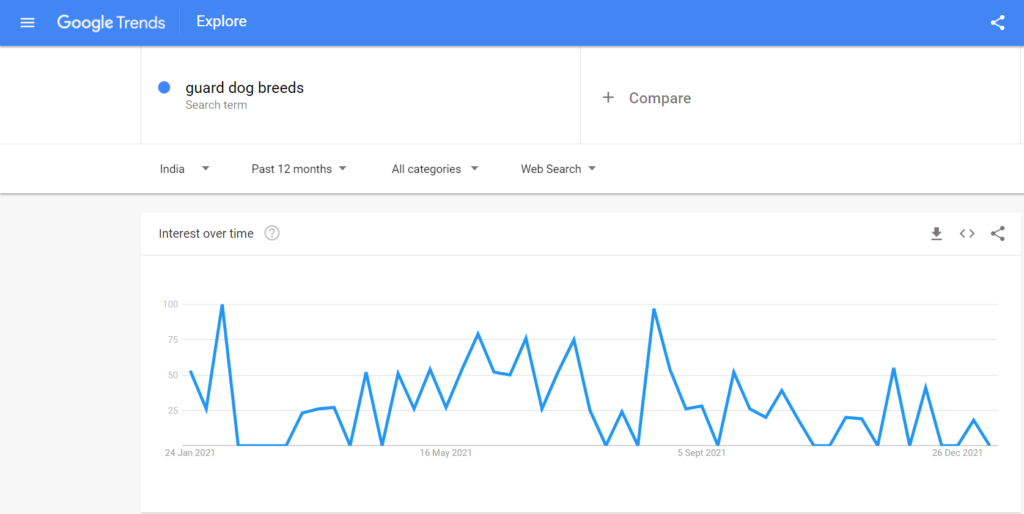 Niche Google trend